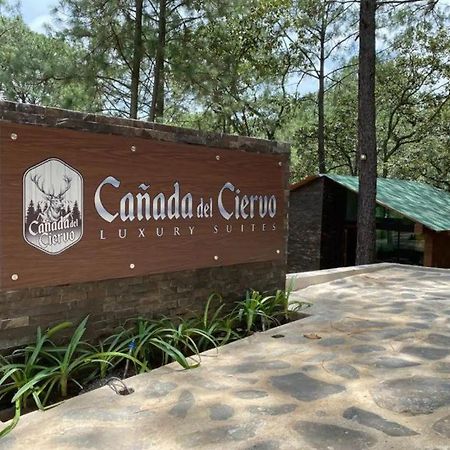 Cabana De Lujo Con Jacuzzi A 10 Min Del Pueblo Mazamitla Exteriör bild